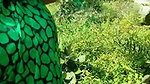 Landlord fuck neighbour bhabhi in jungle