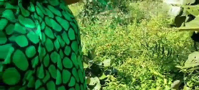 Landlord fuck neighbour bhabhi in jungle