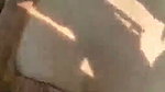 Landlord fuck neighbour bhabhi in jungle
