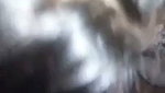 Sexy girl give Blowjob show her boob