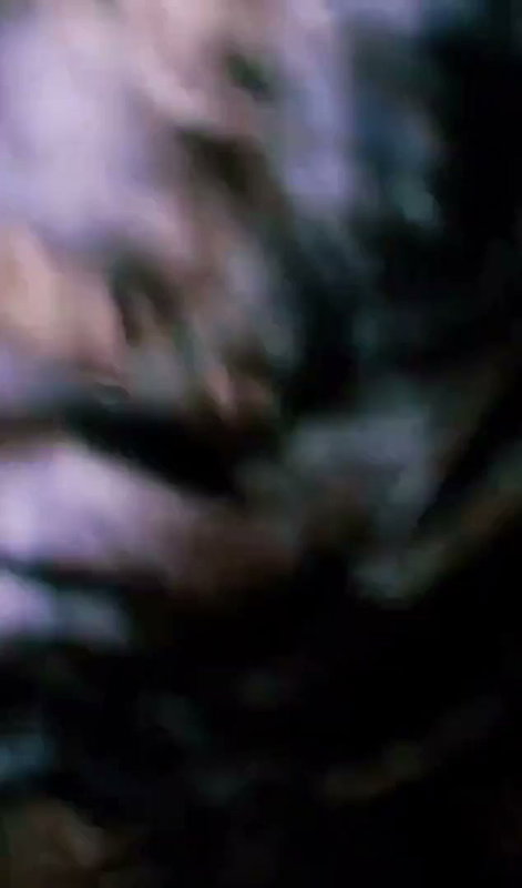 Bhabhi Giving Blowjob Hard Fucking Cumhot On Ass