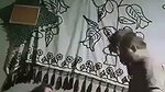 Man bangs his chubby lady hard