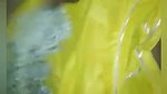Sexy hot bhabhi giving Blowjob to her ex lover