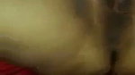lover licking her bhabhi pussy