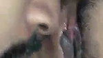 lover licking her bhabhi pussy