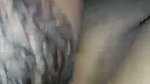 lover licking her bhabhi pussy