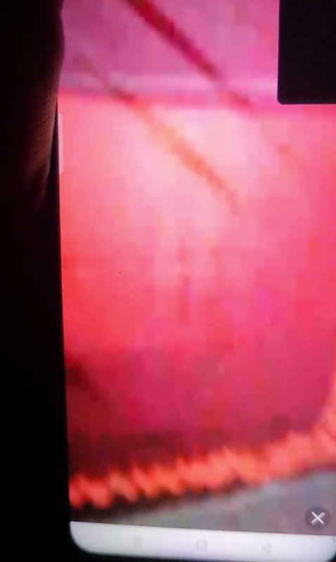 Bangladeshi hindu grill hot fingering