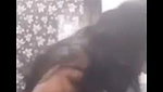 Tamil girl fuck hard  moan with Boyfriend