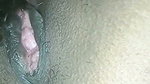 Boyfriend licking pink pussy of gf