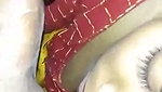Devar getting crazy Blowjob from his bhabhi