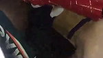 Devar getting crazy Blowjob from his bhabhi