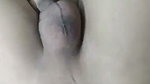 1000076054
