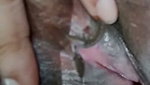 VID 20260520 122130