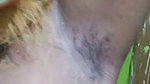 Tamil Milky Boobs aunty