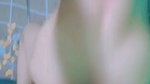 Bengali Cute Cheater Girl Showing Fingering On VC With Many Boys 12