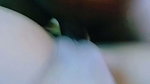Bengali Cute Cheater Girl Showing Fingering On VC With Many Boys 1