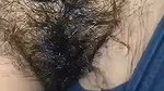 Hairy Pussy Wife Having Sex With Milkman