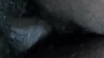 Young Bengali Girl Showing Reverse Riding On Boyfriend Dick