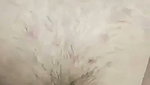 creampie fuck