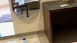 Again new update Indian Horny Babe Dancing Fingering Giving Blowjob Fucking In Sleeper Bus Loud Moaning