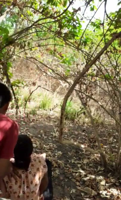 Frame 1