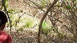 Aunty fuck with neighbour uncle in middle of jungle