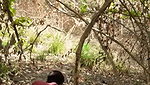 Aunty fuck with neighbour uncle in middle of jungle