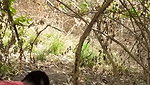 Aunty fuck with neighbour uncle in middle of jungle
