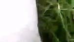 Bhabhi fuck hard with devar Outdoor