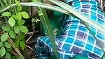 Sexy girl fuck in jungle