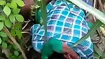 Sexy girl fuck in jungle