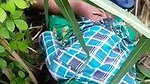 Sexy girl fuck in jungle