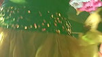 WestBengal Dance Hungama 2