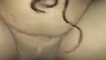 Punjabi girl riding hard  moan
