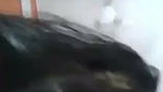 Sexy Babe Giving Blowjob Riding On Boyfriend Dick