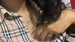 Horny babe showing her cute tits