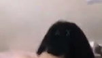 1000218874