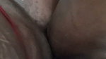 pussy fuck