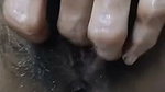 hairy bushy fingering