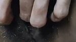 hairy bushy fingering