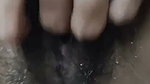 hairy bushy fingering
