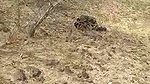 Boyfriend gf fucking outside local people caught them