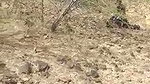 Boyfriend gf fucking outside local people caught them