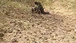 Boyfriend gf fucking outside local people caught them