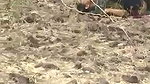 Boyfriend gf fucking outside local people caught them