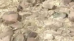 Boyfriend gf fucking outside local people caught them