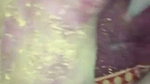 Bhabhi played holi fucking with devar