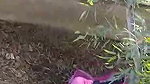 Couple was caught by local people