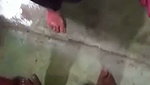 Bhabhi giving Blowjob to neighbour uncle in holi