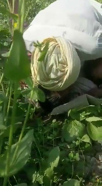 Frame 9